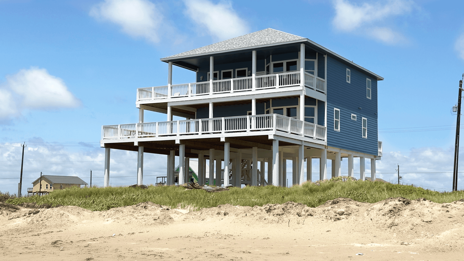 Blue Whale Beachfront